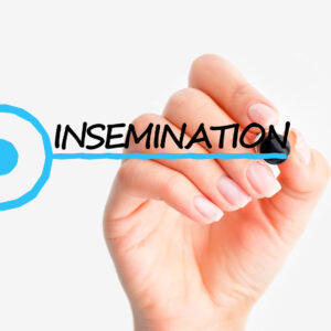 Artificial Insemination cost in South Africa